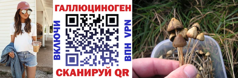 Псилоцибиновые грибы мицелий  Купить  Красноармейск 